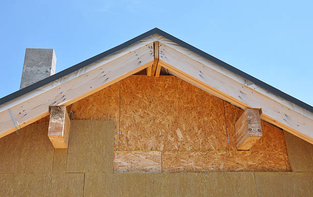 Best Storm Damage Siding Repair  in Allardt, TN